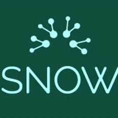 SNOW POLYMERS